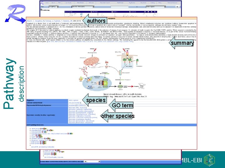 authors description Pathway summary species GO term other species 