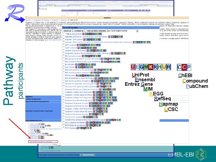 participants Pathway Uni. Prot Ch. EBI Ensembl Compound Entrez Gene Pub. Chem MIM KEGG