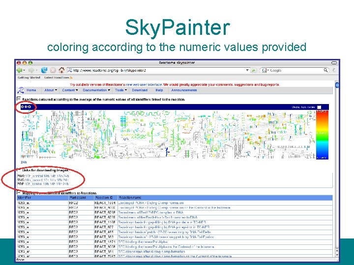 Sky. Painter coloring according to the numeric values provided 