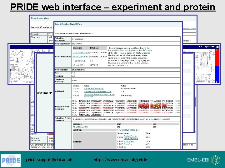 PRIDE web interface – experiment and protein pride-support@ebi. ac. uk http: //www. ebi. ac.