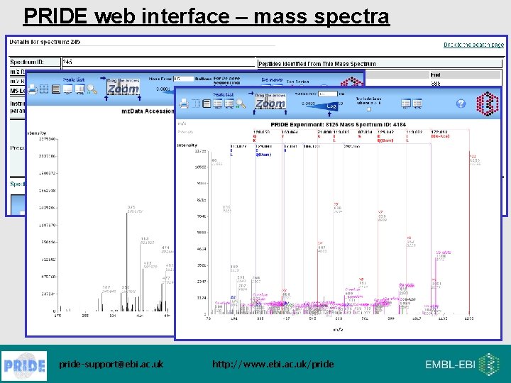 PRIDE web interface – mass spectra pride-support@ebi. ac. uk http: //www. ebi. ac. uk/pride