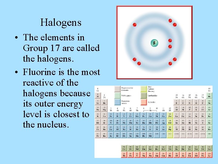 Halogens • The elements in Group 17 are called the halogens. • Fluorine is
