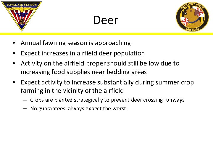 Deer • Annual fawning season is approaching • Expect increases in airfield deer population