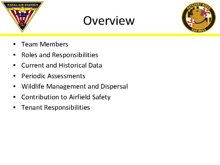 Overview • • Team Members Roles and Responsibilities Current and Historical Data Periodic Assessments