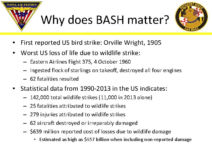 Why does BASH matter? • First reported US bird strike: Orville Wright, 1905 •