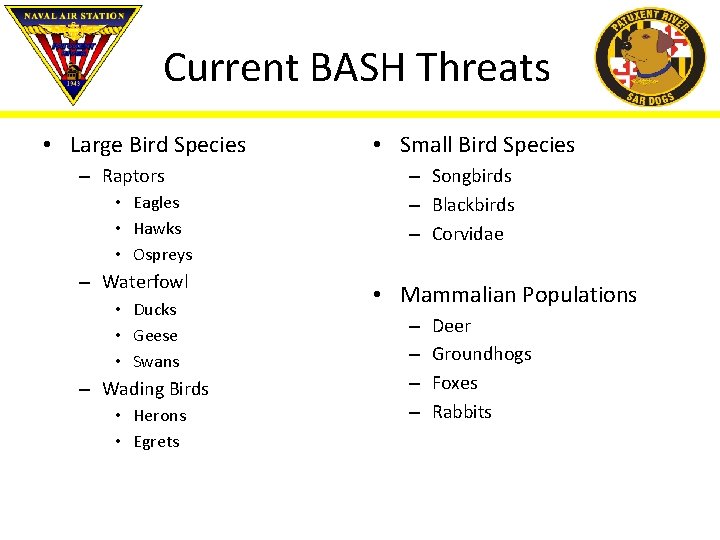 Current BASH Threats • Large Bird Species – Raptors • Eagles • Hawks •