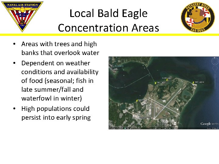 Local Bald Eagle Concentration Areas • Areas with trees and high banks that overlook