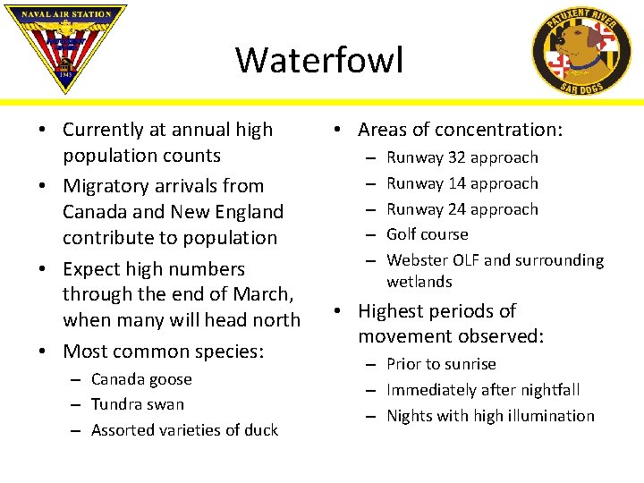 Waterfowl • Currently at annual high population counts • Migratory arrivals from Canada and