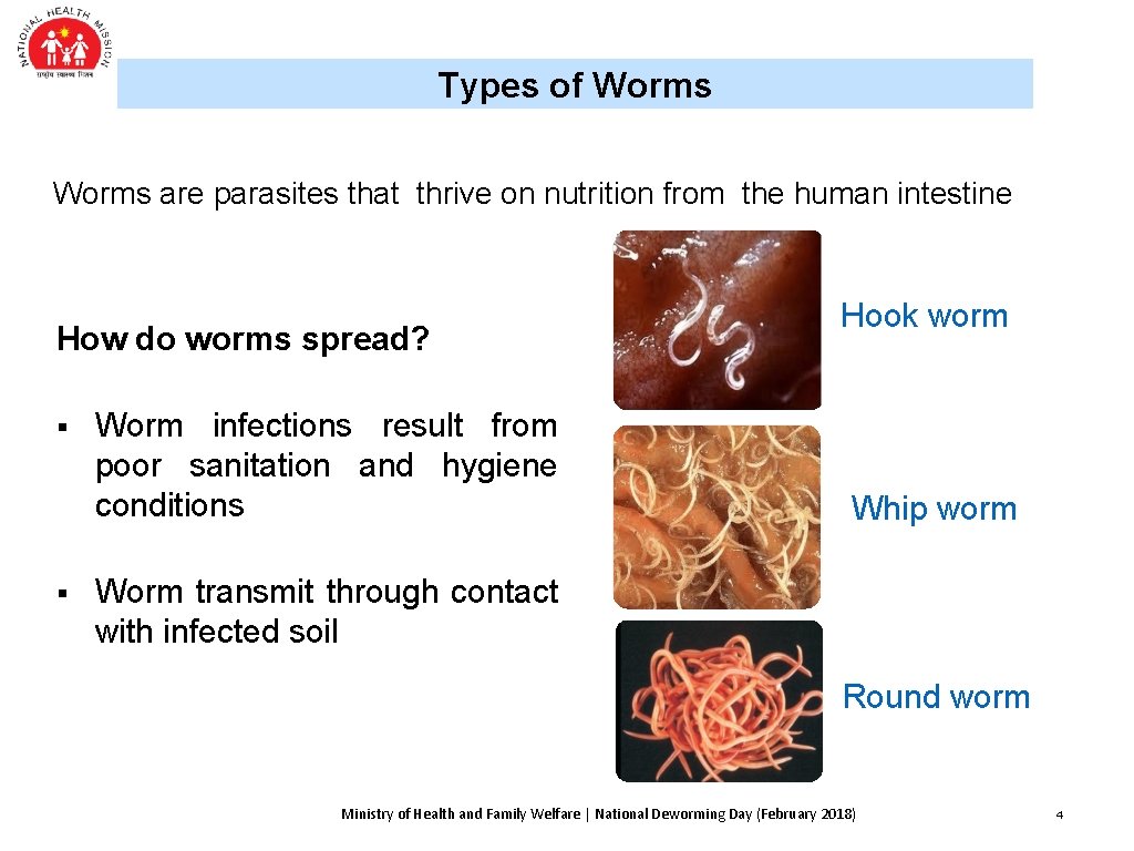 Types of Worms are parasites that thrive on nutrition from the human intestine How