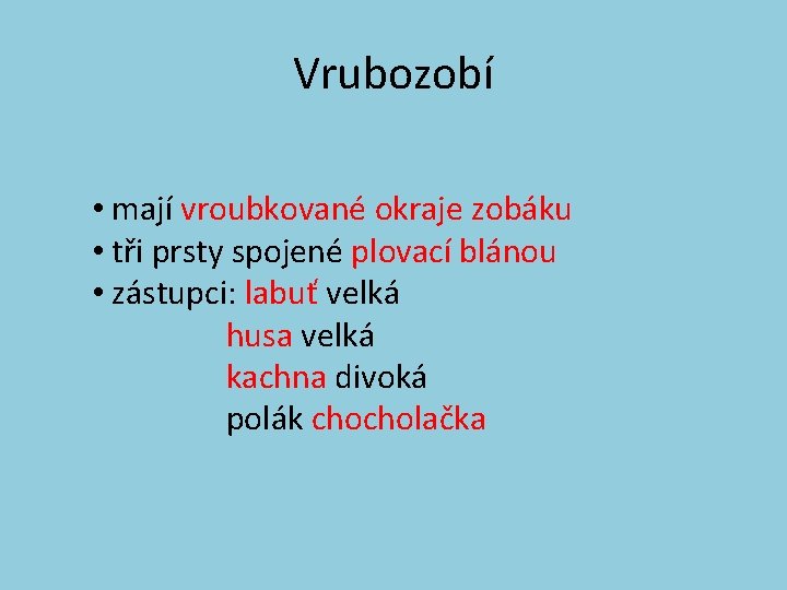 Vrubozobí • mají vroubkované okraje zobáku • tři prsty spojené plovací blánou • zástupci: