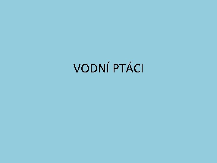 VODNÍ PTÁCI 