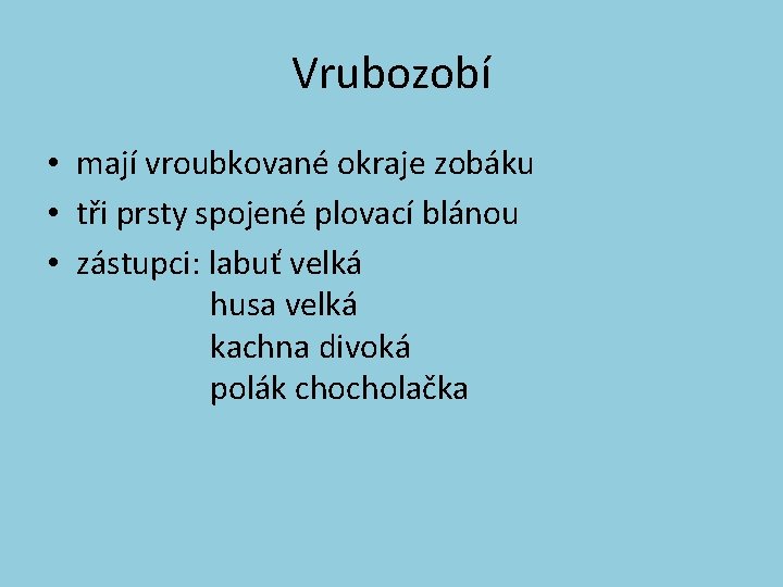 Vrubozobí • mají vroubkované okraje zobáku • tři prsty spojené plovací blánou • zástupci: