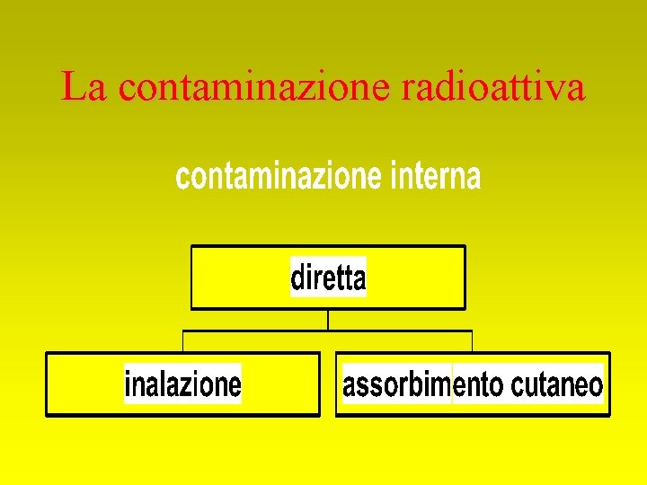 La contaminazione radioattiva 