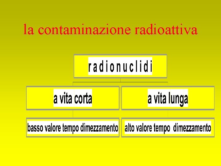 la contaminazione radioattiva 