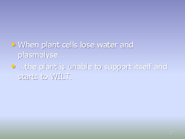  • When plant cells lose water and plasmolyse… • …the plant is unable