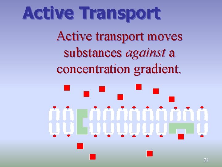 Active Transport Active transport moves substances against a concentration gradient. 31 