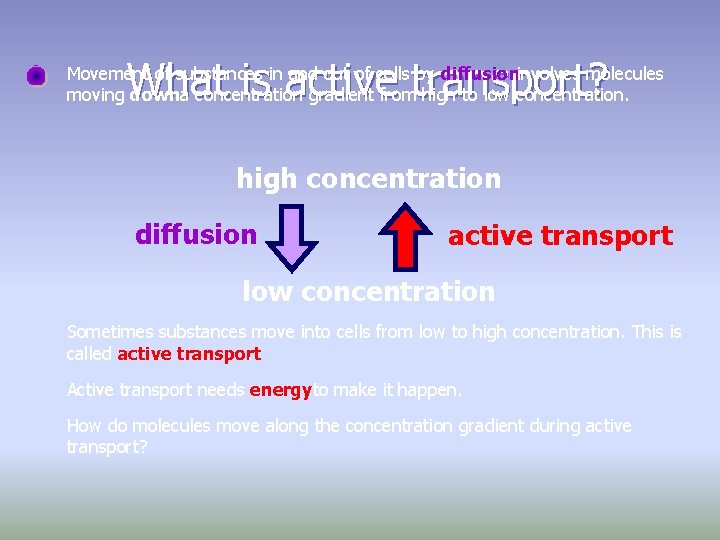 What is active transport? Movement of substances in and out of cells by diffusioninvolves