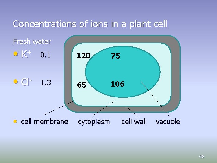 Concentrations of ions in a plant cell Fresh water • K+ 0. 1 120