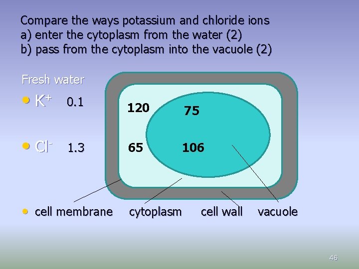 Compare the ways potassium and chloride ions a) enter the cytoplasm from the water