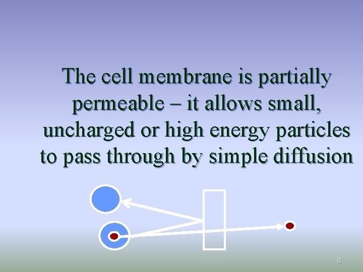 The cell membrane is partially permeable – it allows small, uncharged or high energy