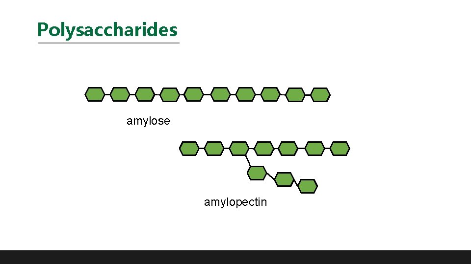 Polysaccharides amylose amylopectin 