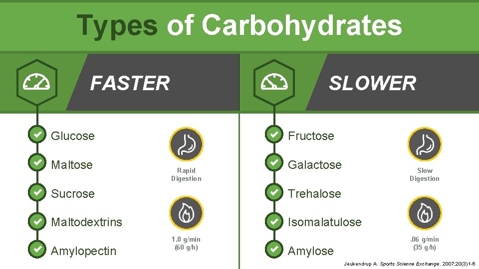 Types of Carbohydrates FASTER SLOWER Glucose Maltose Fructose Rapid Digestion Galactose Slow Digestion Sucrose