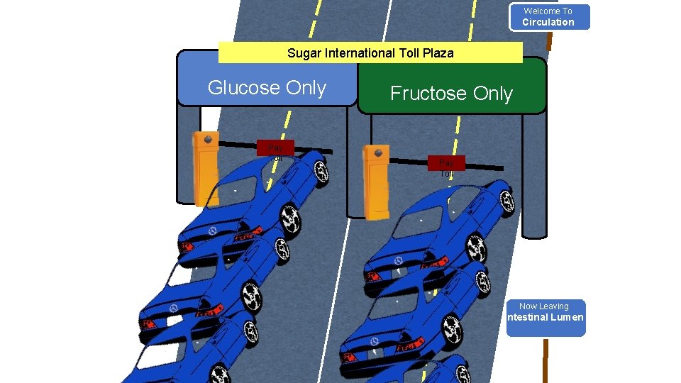 Welcome To Circulation Sugar International Toll Plaza Glucose Only Pay Toll Fructose Only Pay