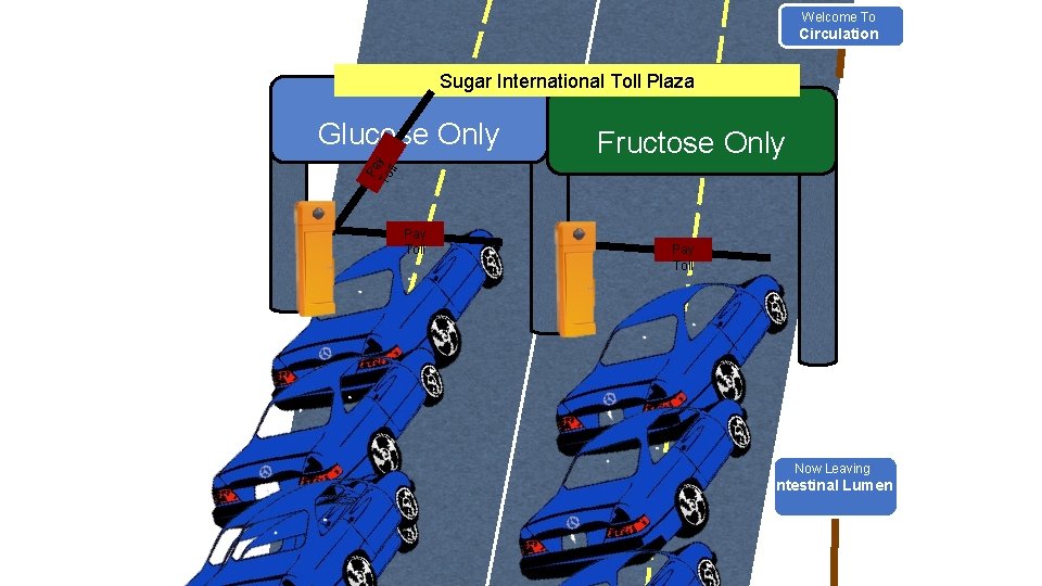 Welcome To Circulation Sugar International Toll Plaza Pa To y ll Glucose Only Pay