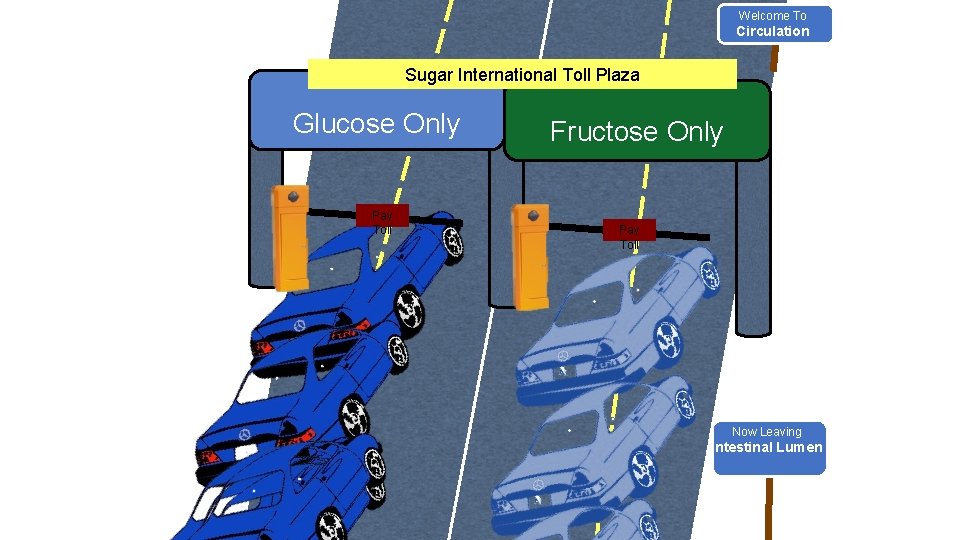 Welcome To Circulation Sugar International Toll Plaza Glucose Only Pay Toll Fructose Only Pay