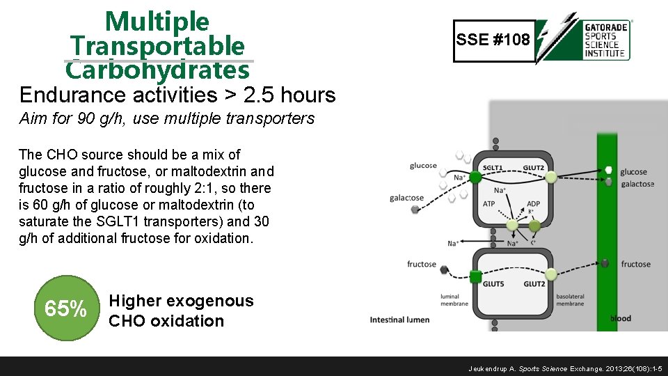 Multiple Transportable Carbohydrates SSE #108 Endurance activities > 2. 5 hours Aim for 90