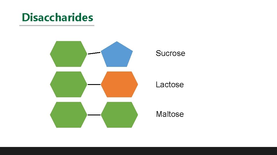 Disaccharides Sucrose Lactose Maltose 