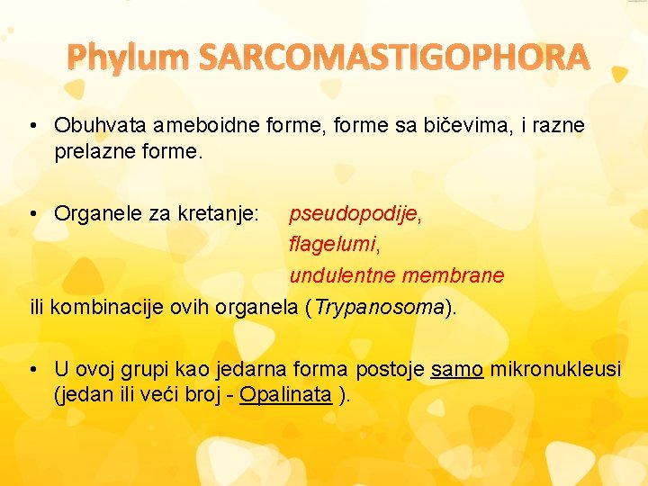 Phylum SARCOMASTIGOPHORA • Obuhvata ameboidne forme, forme sa bičevima, i razne prelazne forme. •