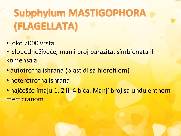 Subphylum MASTIGOPHORA (FLAGELLATA) • oko 7000 vrsta • slobodnoživeće, manji broj parazita, simbionata ili