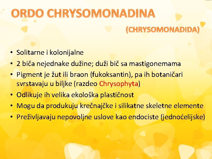 ORDO CHRYSOMONADINA (CHRYSOMONADIDA) • Solitarne i kolonijalne • 2 biča nejednake dužine; duži bič