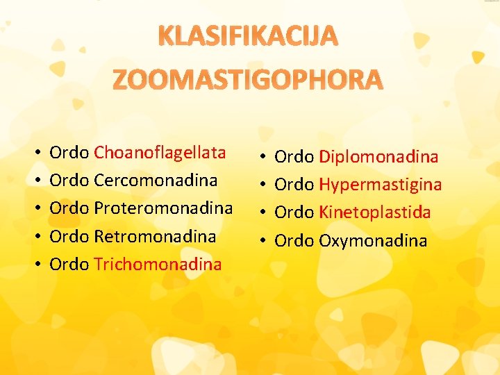 KLASIFIKACIJA ZOOMASTIGOPHORA • • • Ordo Choanoflagellata Ordo Cercomonadina Ordo Proteromonadina Ordo Retromonadina Ordo