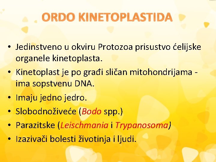 ORDO KINETOPLASTIDA • Jedinstveno u okviru Protozoa prisustvo ćelijske organele kinetoplasta. • Kinetoplast je