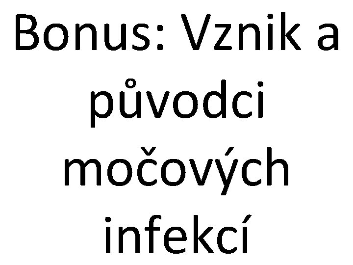 Bonus: Vznik a původci močových infekcí 