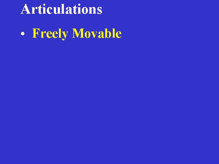 Articulations • Freely Movable 