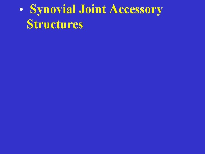  • Synovial Joint Accessory Structures 