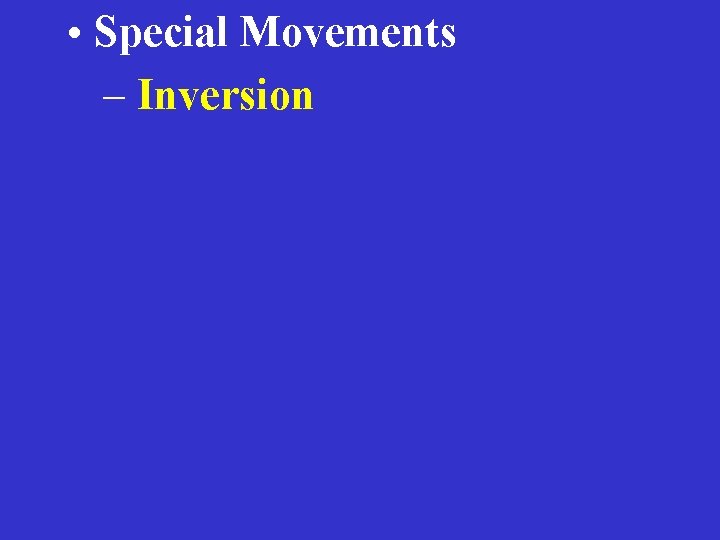  • Special Movements – Inversion 