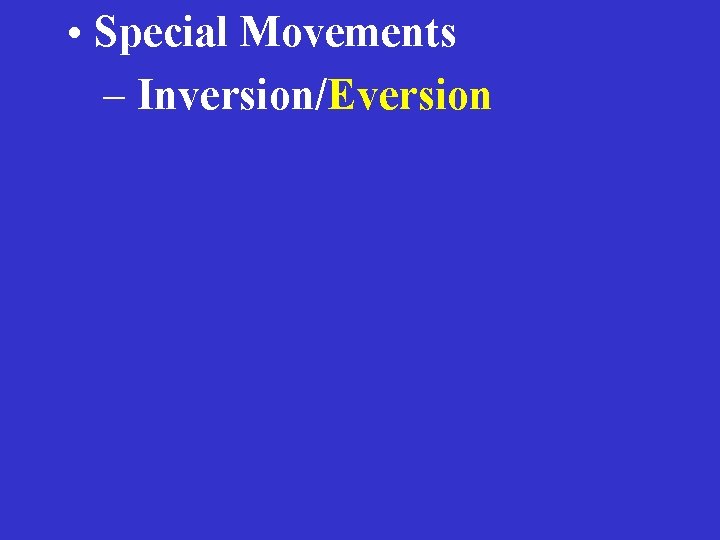  • Special Movements – Inversion/Eversion 