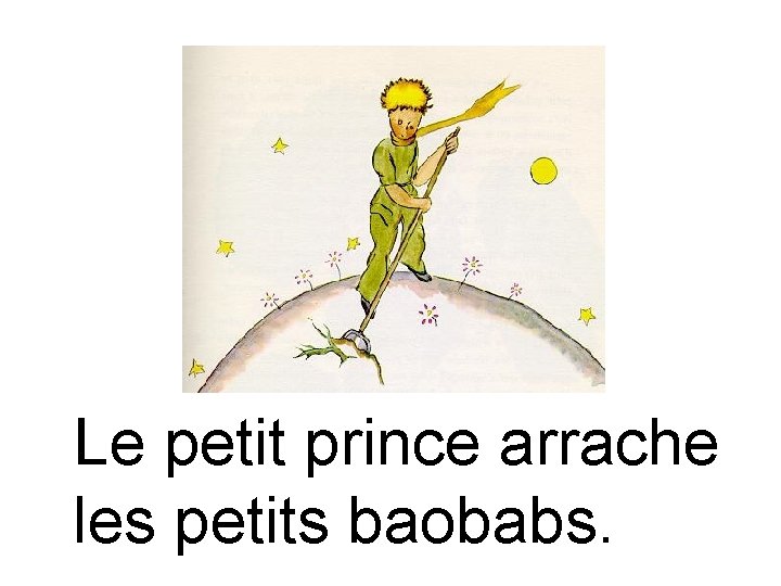 Le petit prince arrache les petits baobabs. 