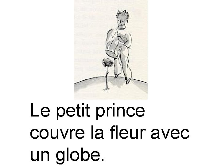 Le petit prince couvre la fleur avec un globe. 