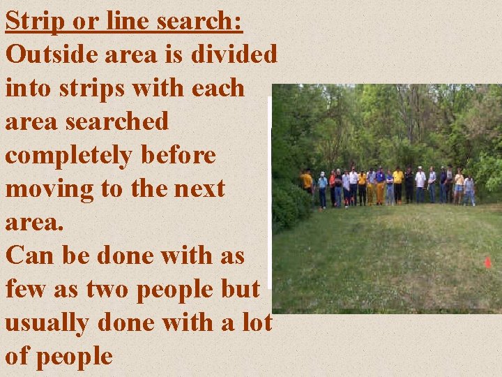 Strip or line search: Outside area is divided into strips with each area searched