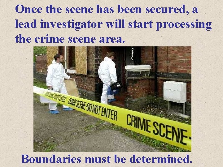 Once the scene has been secured, a lead investigator will start processing the crime