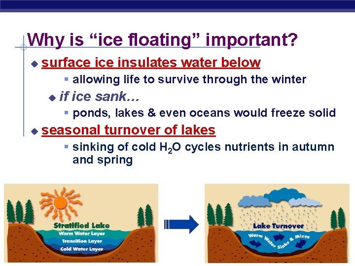 Why is “ice floating” important? u surface insulates water below § allowing life to