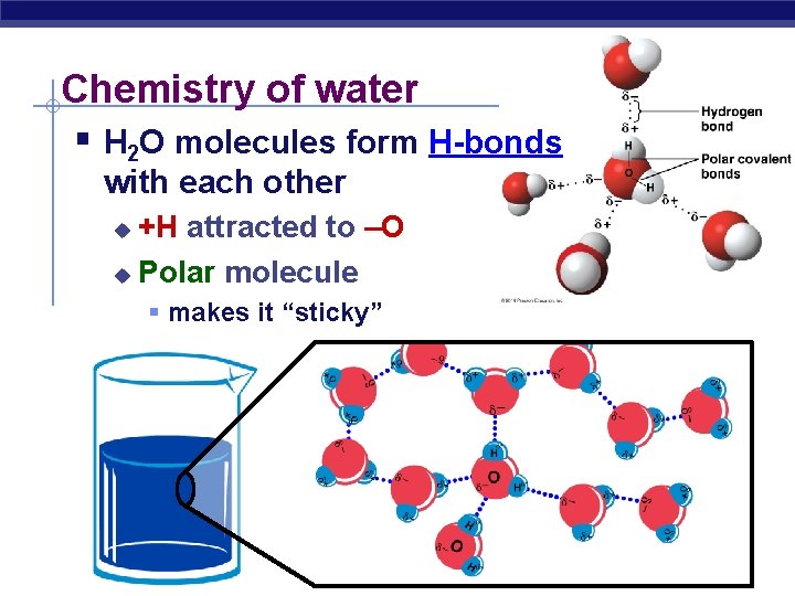 Chemistry of water § H 2 O molecules form H-bonds with each other +H