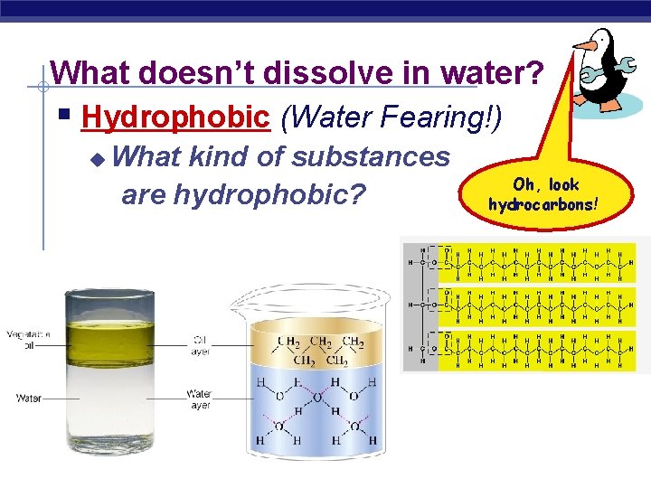 What doesn’t dissolve in water? § Hydrophobic (Water Fearing!) u What kind of substances