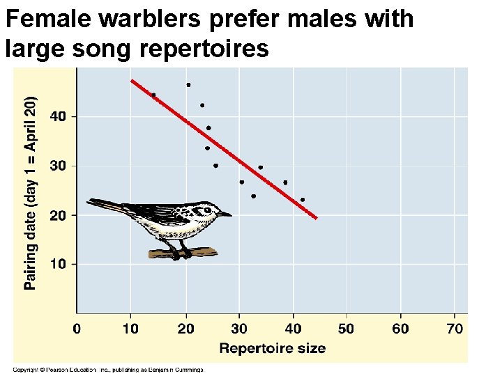 Female warblers prefer males with large song repertoires 