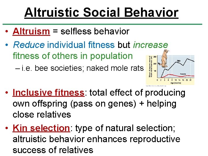 Altruistic Social Behavior • Altruism = selfless behavior • Reduce individual fitness but increase